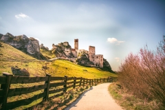 5U1A3295-Poprawione-Szum