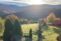 251542120_3032399467012467_5763205497785370784_n