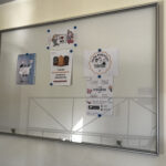 Sport łączy – razem przeciw przemocy